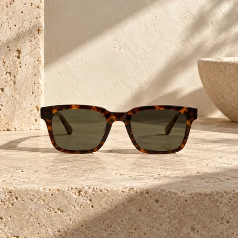 The Tortoise Frame